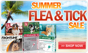 Summer Flea & Tick Sale