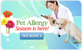 Pet Allergy Season!
