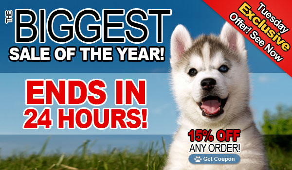 Biggest Sale of The Year Ends inHours!