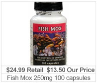 Fish Mox (Amoxicillin) 250mg (100 capsules)