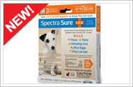 NEW! Spectra Sure Plus IGR for Dogs & Cats