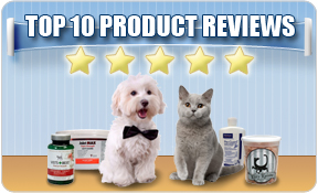 TopProduct Reviews