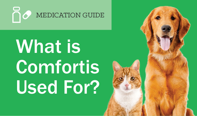 What is Comfortis Used For?