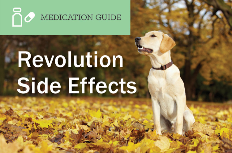 Revolution for Dogs Side Effects