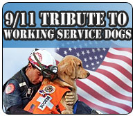 9/11 Tribute to Service Dogs