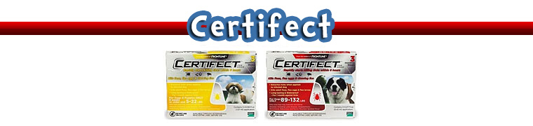 Certifect