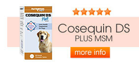 Cosequin DS PLUS MSM