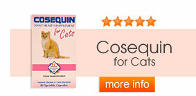 Cosequin Soft Chews