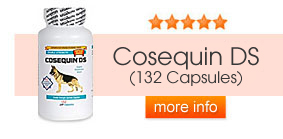 Cosequin DS (120 Capsules)