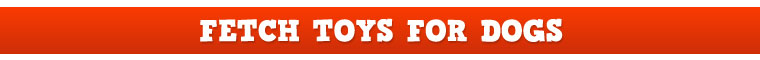 Fetch Toys for Dogs