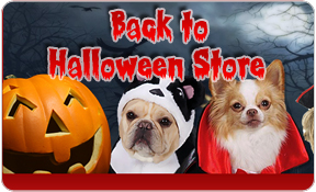 Back to Halloween Store