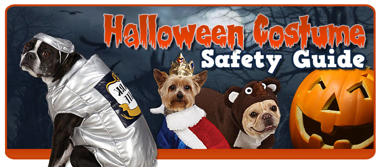 Halloween Costume Safety Guide