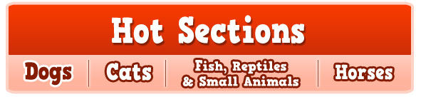 Hot Sections