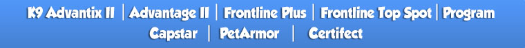 Flea Sale navigation bar