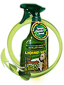 Flexi Retractable Leashes