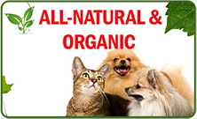 Organic Treats