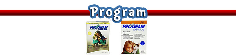 Program