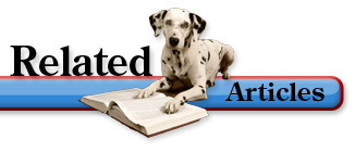 Related Articles