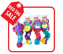 Kong Squiggles Dog Toy