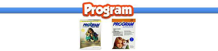 Program
