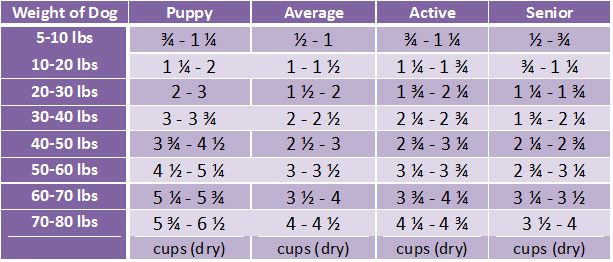 Taste Of The Wild Puppy Food Feeding Chart