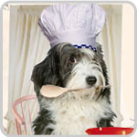 5 Easy Pet Recipes