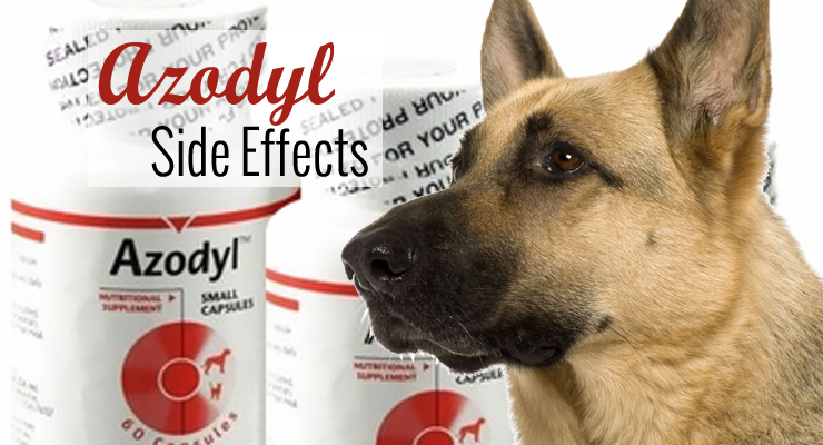 Azodyl Side Effects