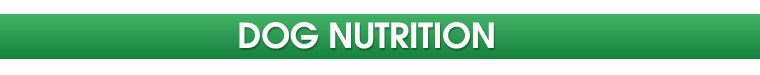 Dog Nutrition