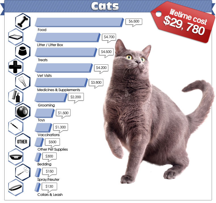 The Costs Of Owning Pets