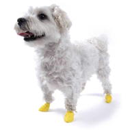 Pawz Dog Boots