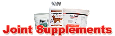 Joint Supplements