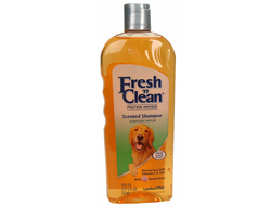 Lambert Kay Fresh N Clean