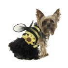 NEW! Leg Avenue Dog Costumes Daisy Bee Costume