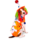 clown costume