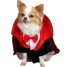 Dogicula Costume