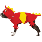 Dragon Costume