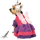 Fairy Princess Halloween Costume