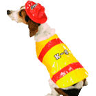 fireman dog