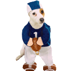 football dog
