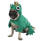 Frog dog