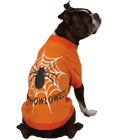Glow Web Tee Orange