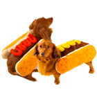 hotdog dog costume