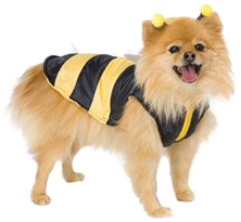 vampire dog shirt