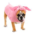pig costume