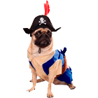 pirate dog costume
