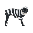 prisoner dog