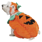 Pumpkin Pooch