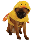 Quakers Duck Costume