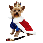 Royal Pup