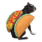 taco dog